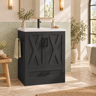 Treevan Bathroom Vanity with Resin Sink, 24 in Storage Cabinet with Barn Door for Bath